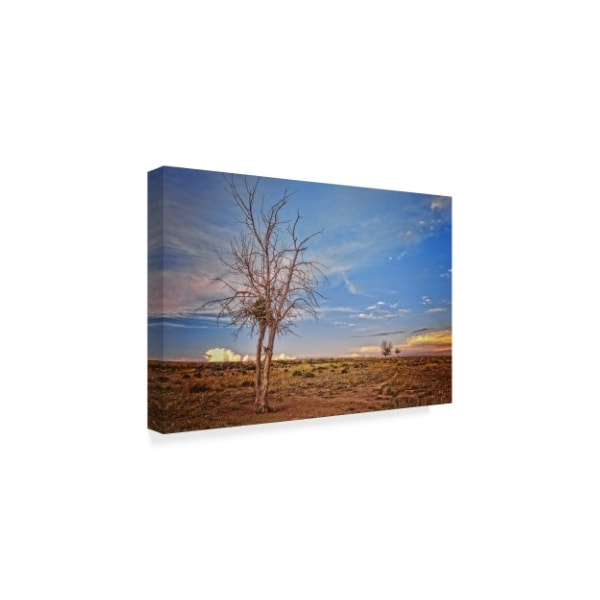 Amanda Smith 'Wyoming High Desert Beauty' Canvas Art,12x19